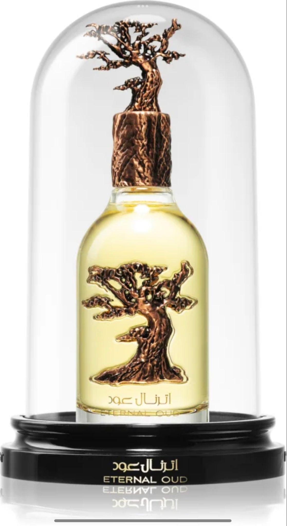 Eternal Oud | Lattafa