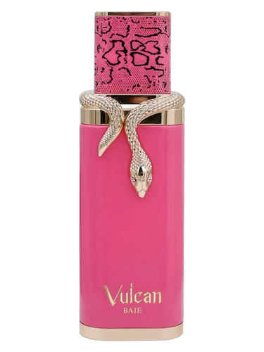 Vulcan Baie | French Avenue Paris Corner